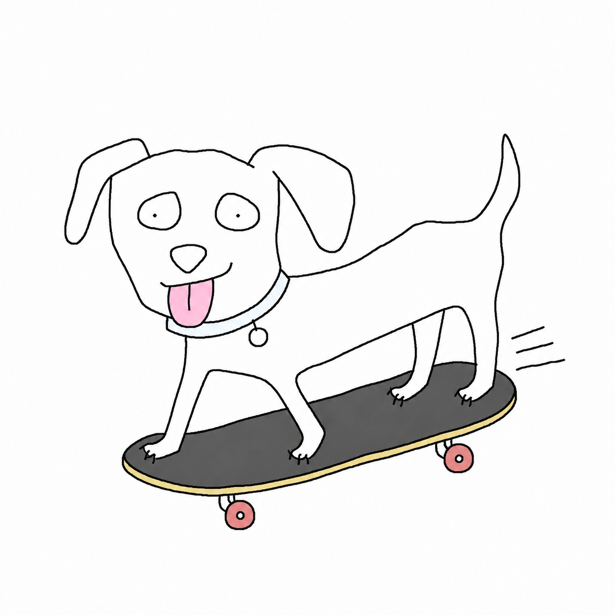 The dog riding a skateboard